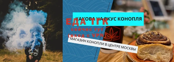 эйфоретик Инта
