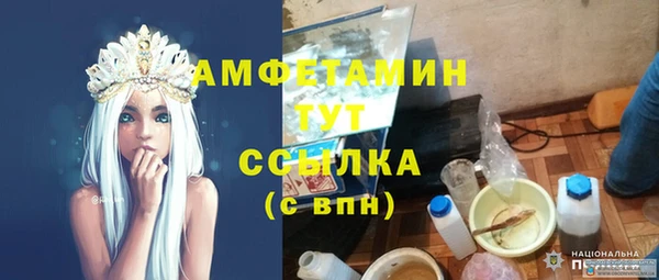 сатива Иннополис