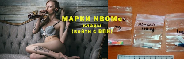 эйфоретик Инта
