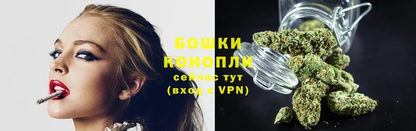 сатива Иннополис