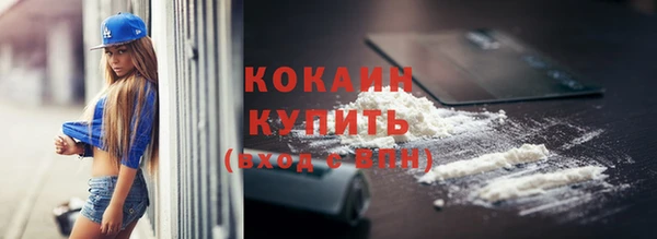 сатива Иннополис