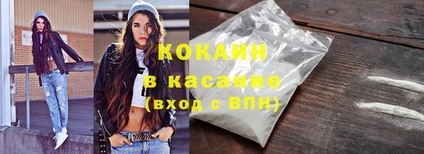 сатива Иннополис