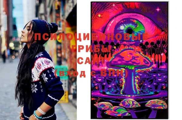 сатива Иннополис