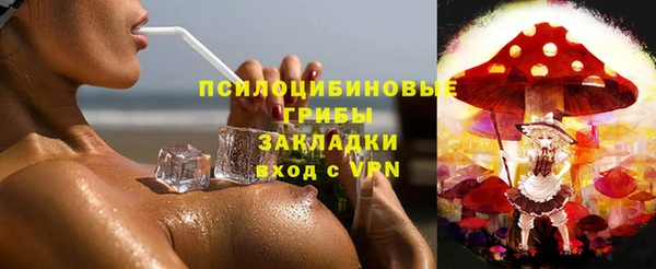 эйфоретик Инта