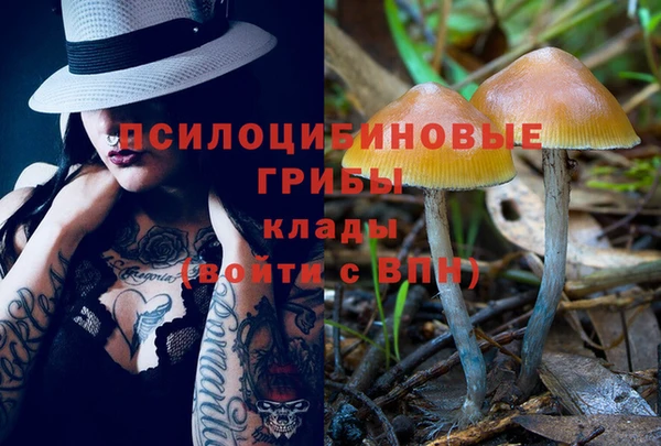 эйфоретик Инта