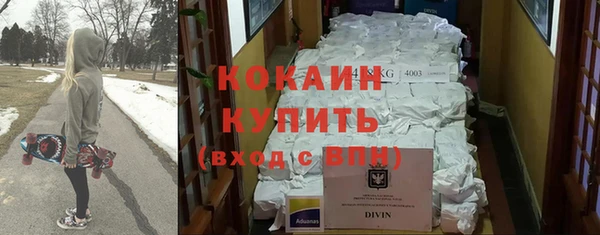 сатива Иннополис