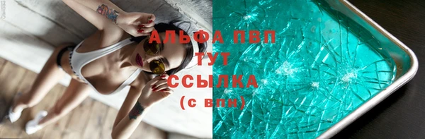 сатива Иннополис